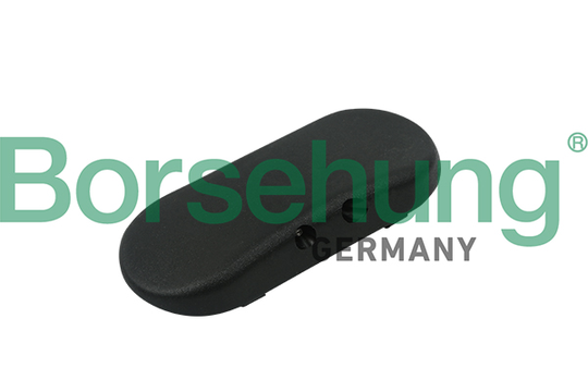 Munstycke, vindrutespolning Borsehung B18496